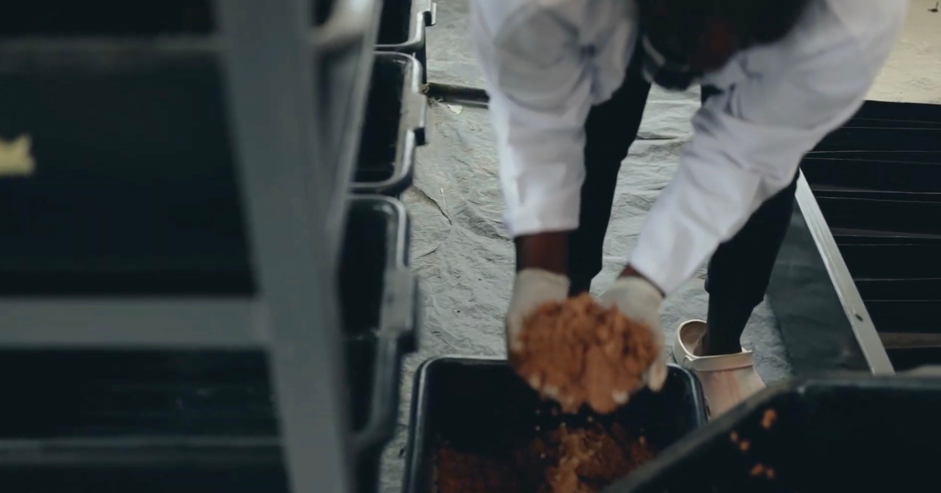 Insect meal handling