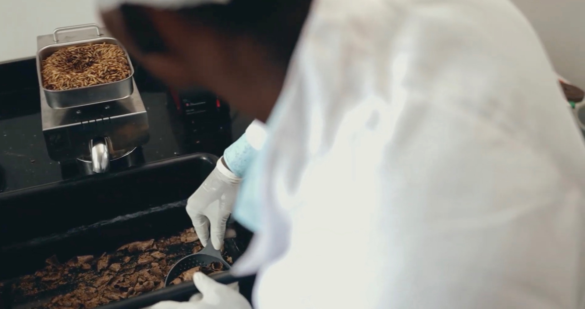 Processing line cooking larvae